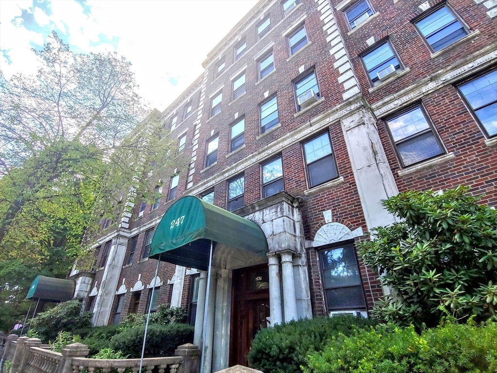 247 Chestnut Hill Ave, Boston, Massachusetts, 1 Bedroom Bedrooms, 3 Rooms Rooms,1 BathroomBathrooms,Residential Lease,For Rent,Chestnut Hill Ave,73517148