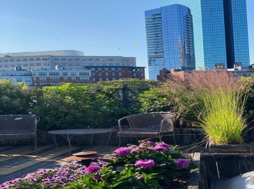 80 Appleton St, Boston, Massachusetts, 1 Bedroom Bedrooms, 5 Rooms Rooms,1.5 BathroomsBathrooms,Residential,For Sale,Appleton St,73517220