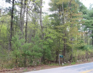 Parcel D Prentice Street, Holliston, Massachusetts, ,Land,For Sale,Prentice Street,73517865