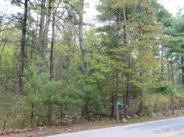 Parcel D Prentice Street, Holliston, Massachusetts, ,Land,For Sale,Prentice Street,73517865
