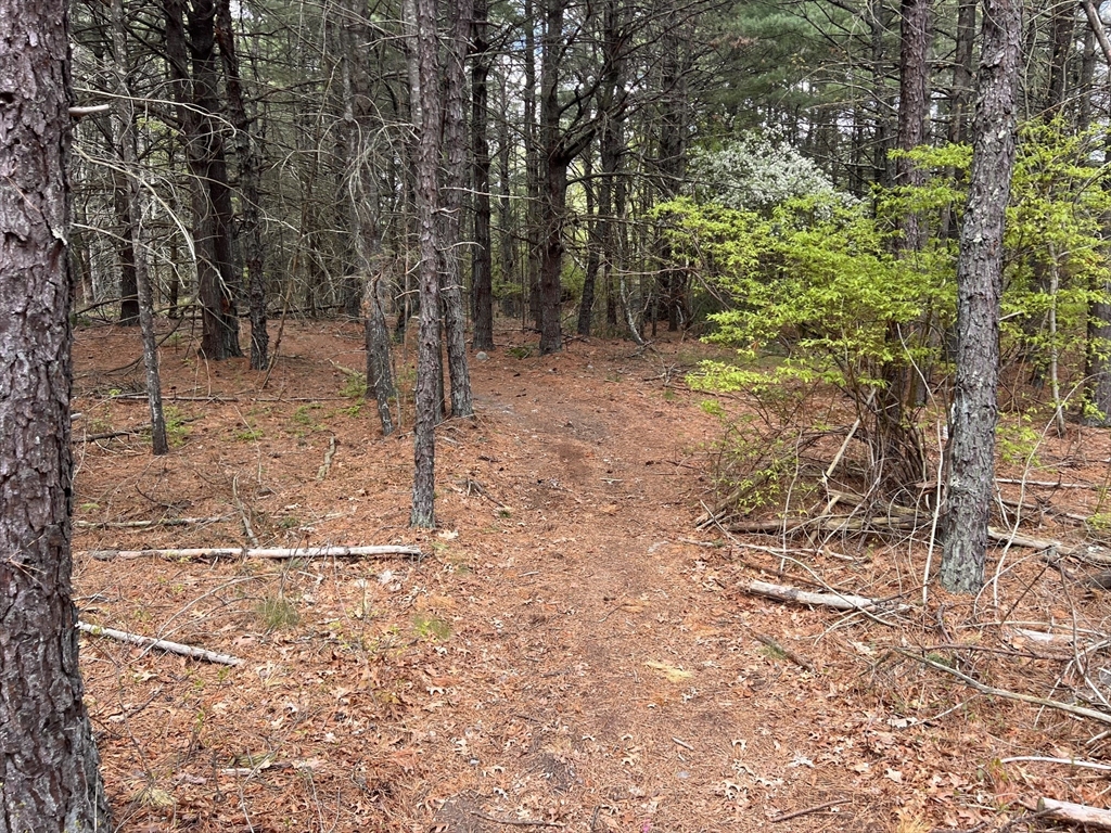0 Clay St, Middleboro, Massachusetts, ,Land,For Sale,Clay St,73517983