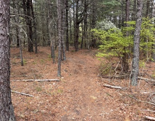 0 Clay St, Middleboro, Massachusetts, ,Land,For Sale,Clay St,73517983