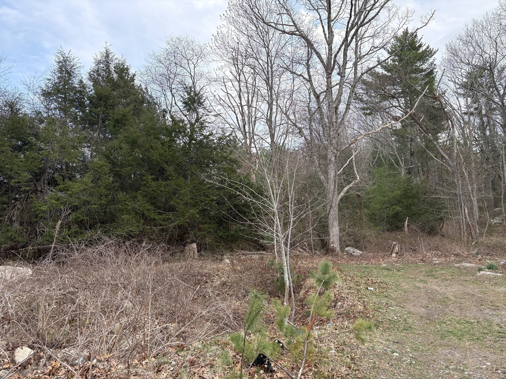 79 Woodman St, Gloucester, Massachusetts, ,Land,For Sale,Woodman St,73519210