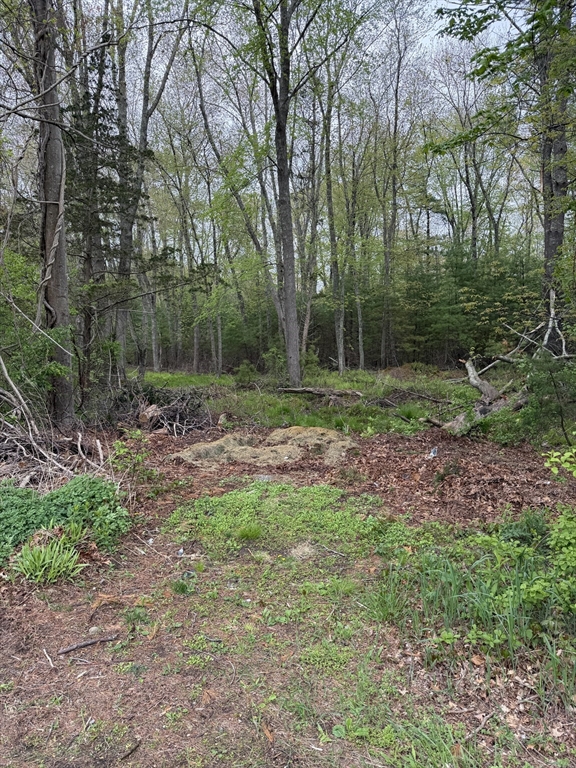 0 Harvey Street, Taunton, Massachusetts, ,Land,For Sale,Harvey Street,73519491