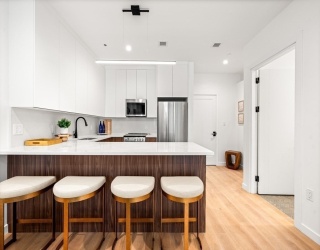 1395 Washington St, Boston, Massachusetts, 1 Bedroom Bedrooms, 5 Rooms Rooms,1.5 BathroomsBathrooms,Residential Lease,For Rent,Washington St,73519264
