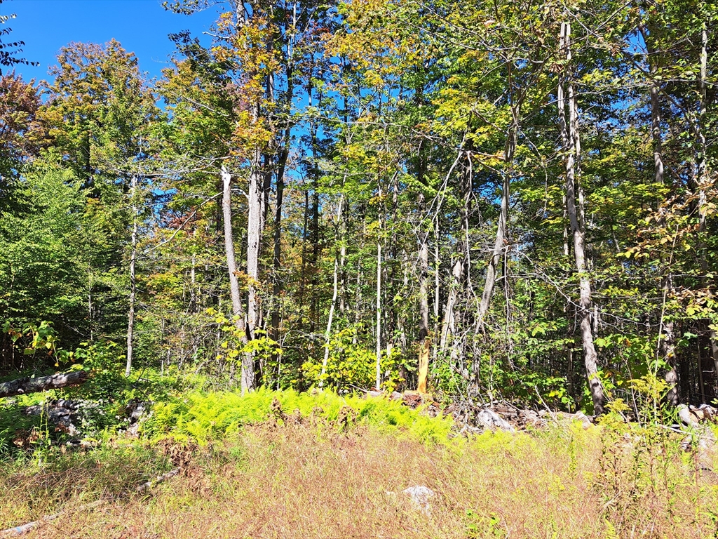 Lot "B" Beulah Land Rd, Blandford, Massachusetts, ,Land,For Sale,Beulah Land Rd,73519849