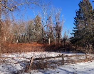 140V Beebe Rd, Monson, Massachusetts, ,Land,For Sale,Beebe Rd,73466646