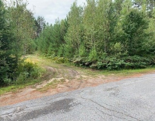 0 Young, Ashburnham, Massachusetts, ,Land,For Sale,Young,73520888