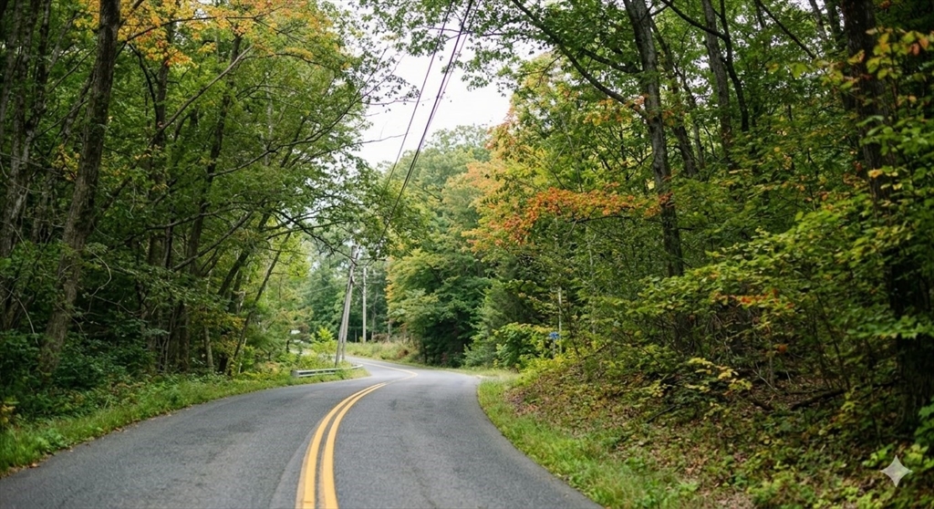 00 William Holmes Rd, Becket, Massachusetts, ,Land,For Sale,William Holmes Rd,73521011