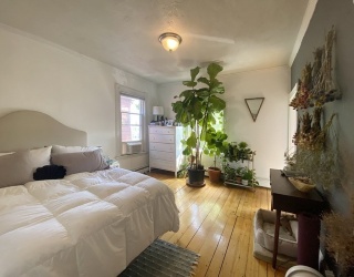 496 Sumner Street, Boston, Massachusetts, 2 Bedrooms Bedrooms, 3 Rooms Rooms,1 BathroomBathrooms,Residential Lease,For Rent,Sumner Street,73521052
