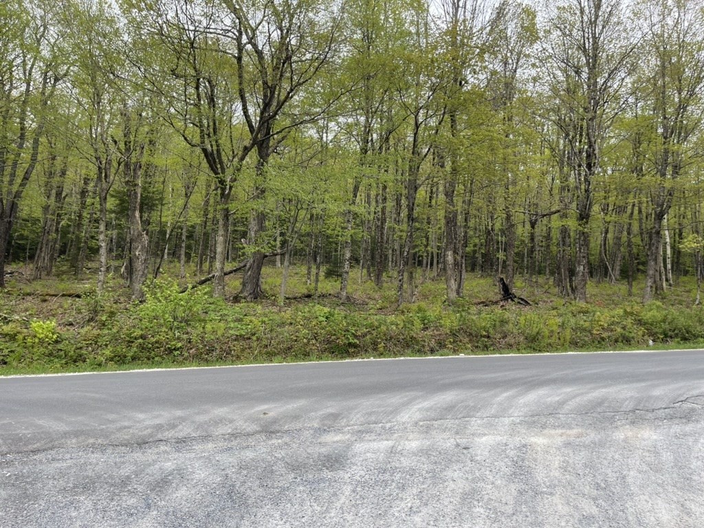 174 Tilda Hill Rd, Florida, Massachusetts, ,Land,For Sale,Tilda Hill Rd,73520933