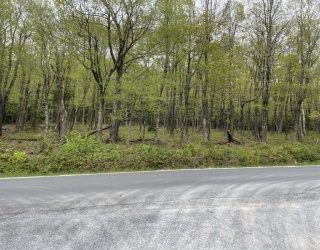 174 Tilda Hill Rd, Florida, Massachusetts, ,Land,For Sale,Tilda Hill Rd,73520933