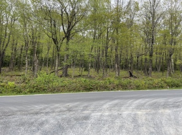 174 Tilda Hill Rd, Florida, Massachusetts, ,Land,For Sale,Tilda Hill Rd,73520933