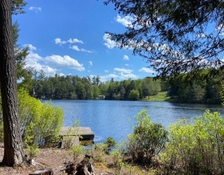 0 Bray Rd, Chesterfield, Massachusetts, ,Land,For Sale,Bray Rd,73521752