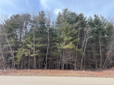 79 Favorite Ln, East Longmeadow, Massachusetts, ,Land,For Sale,Favorite Ln,73469224 79 Favorite Ln, East Longmeadow, Massachusetts, ,Land,For Sale,Favorite Ln,73469224