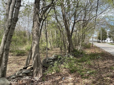2729 Elm Street (Lot 1), Dighton, Massachusetts, ,Land,For Sale,Elm Street (Lot 1),73522391 2729 Elm Street (Lot 1), Dighton, Massachusetts, ,Land,For Sale,Elm Street (Lot 1),73522391