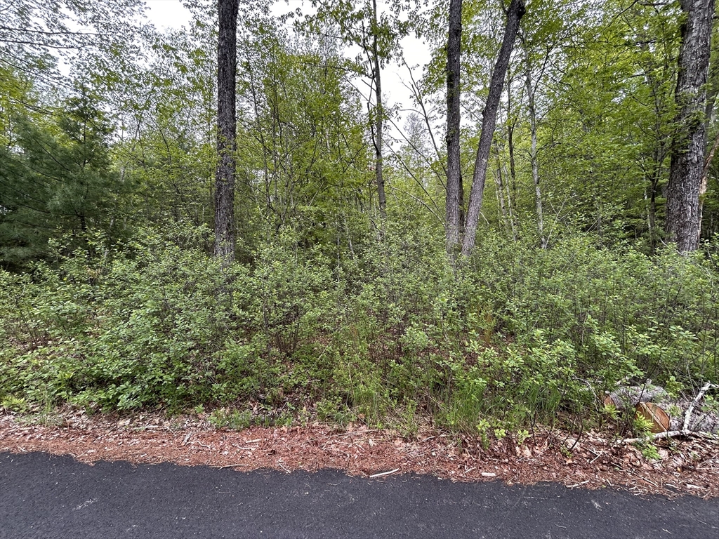 0 Lot 2 Stoddard Rd, Winchendon, Massachusetts, ,Land,For Sale,Stoddard Rd,73522930