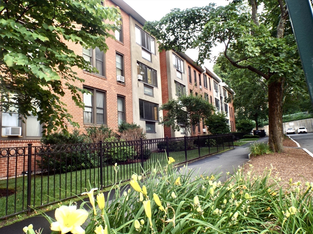 32 Juniper St, Brookline, Massachusetts, 2 Bedrooms Bedrooms, 5 Rooms Rooms,1 BathroomBathrooms,Residential Lease,For Rent,Juniper St,73522980