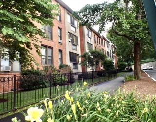 32 Juniper St, Brookline, Massachusetts, 2 Bedrooms Bedrooms, 5 Rooms Rooms,1 BathroomBathrooms,Residential Lease,For Rent,Juniper St,73522980