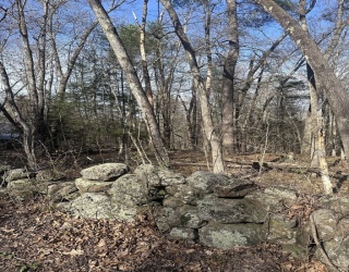 0 Cutler Road, Warren, Massachusetts, ,Land,For Sale,Cutler Road,73511499