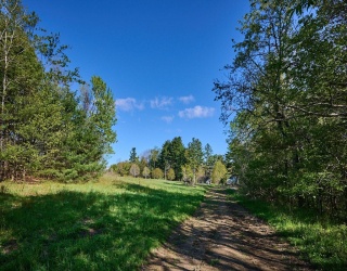 0 Radiker, Worthington, Massachusetts, ,Land,For Sale,Radiker,73523064