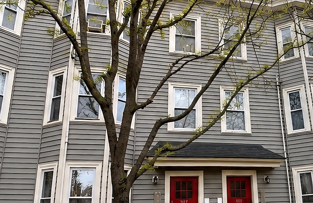 309 Elm Street, Cambridge, Massachusetts, 3 Bedrooms Bedrooms, 5 Rooms Rooms,1 BathroomBathrooms,Residential Lease,For Rent,Elm Street,73523266