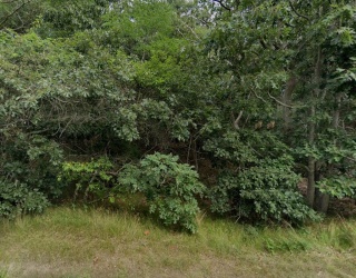 415 Cove Rd, Wellfleet, Massachusetts, ,Land,For Sale,Cove Rd,73524782