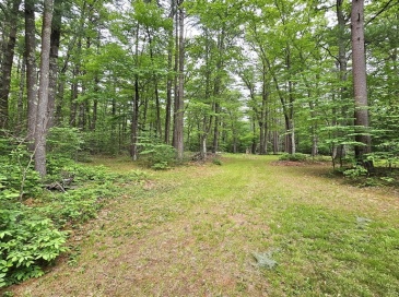 361A County Road, Hanson, Massachusetts, ,Land,For Sale,County Road,73478365