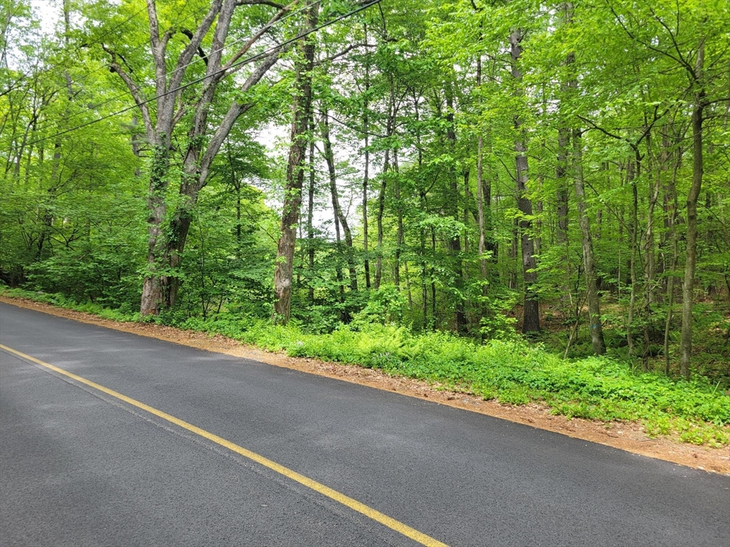 Lot 5 Daniels Rd, Charlton, Massachusetts, ,Land,For Sale,Daniels Rd,73524956