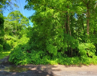 Lot 6 Daniels Rd, Charlton, Massachusetts, ,Land,For Sale,Daniels Rd,73524957