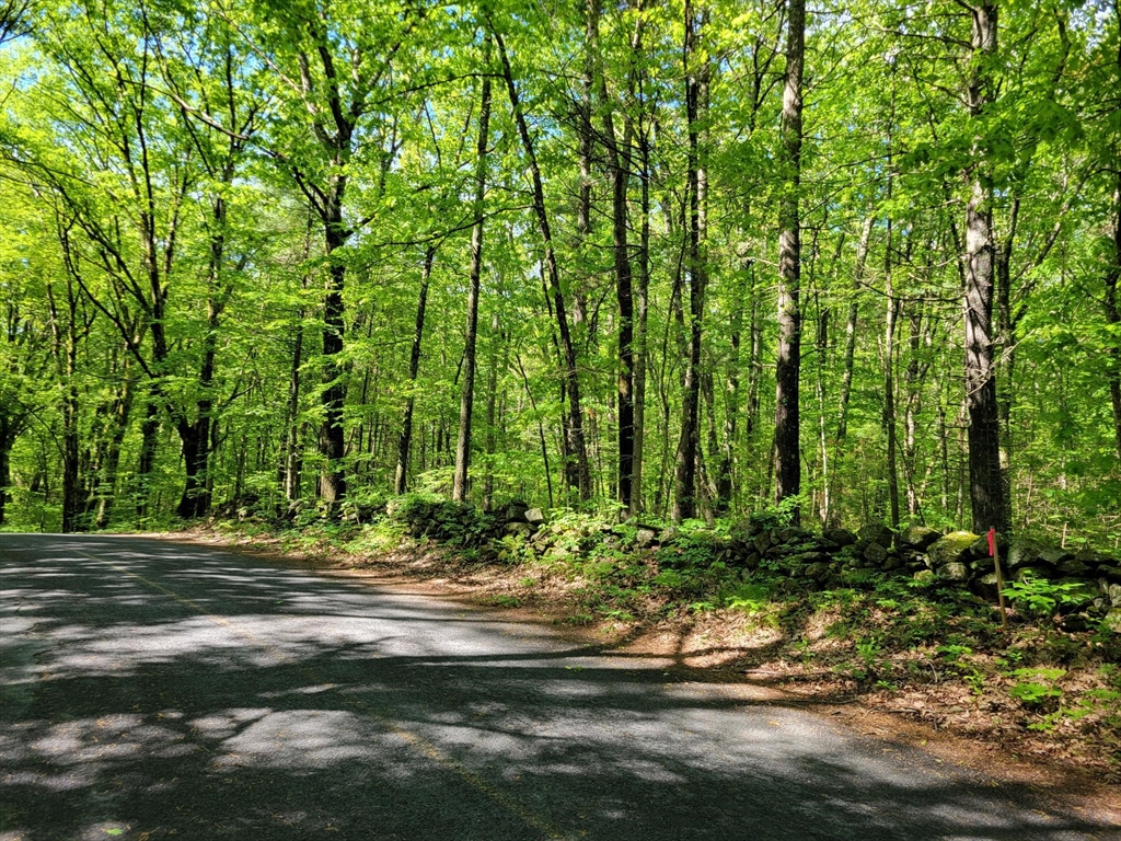 Lot 8 Daniels Rd, Charlton, Massachusetts, ,Land,For Sale,Daniels Rd,73524961