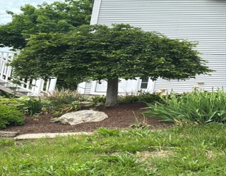 1 Clegg St, Worcester, Massachusetts, 3 Bedrooms Bedrooms, 6 Rooms Rooms,1.5 BathroomsBathrooms,Residential,For Sale,Clegg St,73525064