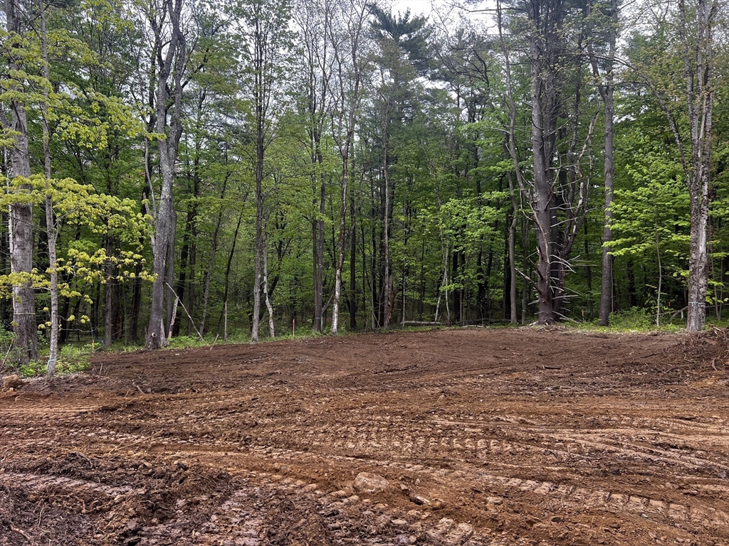Lot 11-46B Hilliard Road, Kensington, New Hampshire, ,Land,For Sale,Hilliard Road,73507213