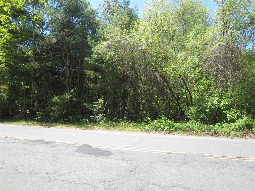 38 Bates Road, Westfield, Massachusetts, ,Land,For Sale,Bates Road,73520970