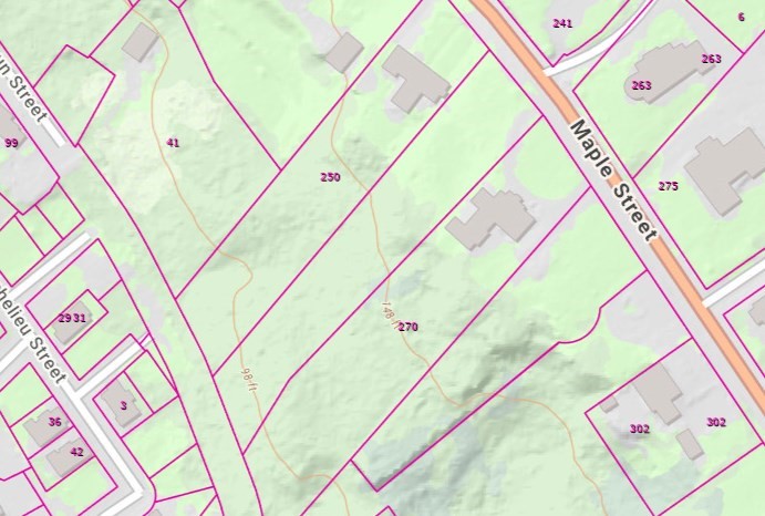WS Maple St, Springfield, Massachusetts, ,Land,For Sale,Maple St,73526926