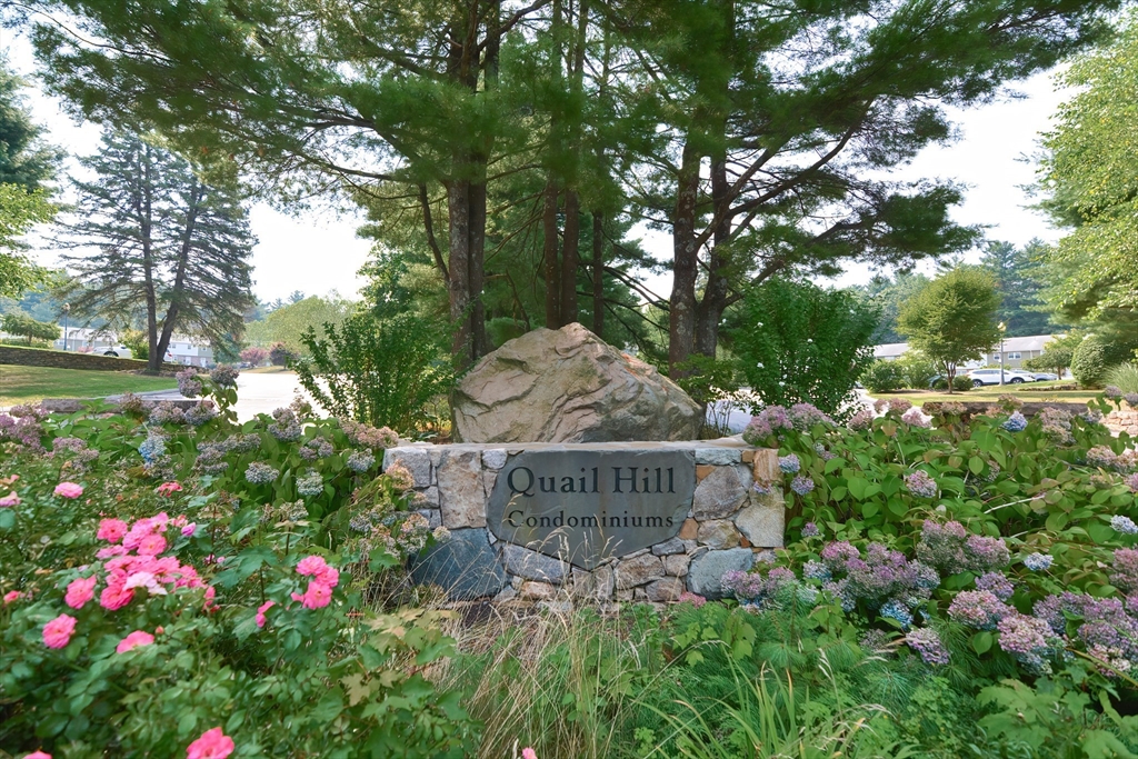 5 Bayberry Circle, Millis, Massachusetts, 3 Bedrooms Bedrooms, 6 Rooms Rooms,1.5 BathroomsBathrooms,Residential,For Sale,Bayberry Circle,73526939