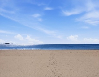 350 Revere Beach Boulevard, Revere, Massachusetts, 2 Bedrooms Bedrooms, 6 Rooms Rooms,2 BathroomsBathrooms,Residential Lease,For Rent,Revere Beach Boulevard,73527171