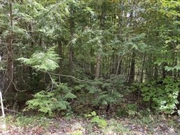 Lot 7&8 Little John, Becket, Massachusetts, ,Land,For Sale,Little John,73527428