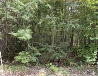 Lot 7&8 Little John, Becket, Massachusetts, ,Land,For Sale,Little John,73527428