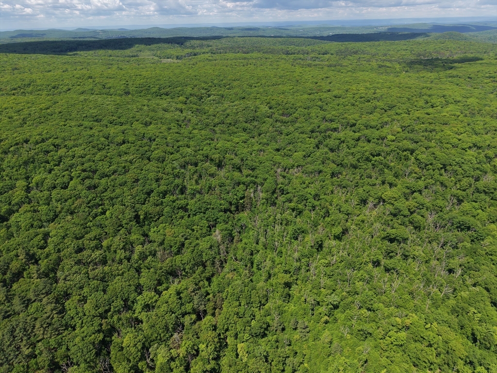 102 Hollow Rd, Wales, Massachusetts, ,Land,For Sale,Hollow Rd,73527618