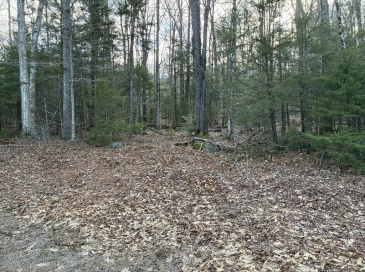 5 Leshure Rd, Rowe, Massachusetts, ,Land,For Sale,Leshure Rd,73496018