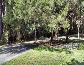 224 Mansion Blvd, DeBary, Florida, ,Land,For Sale,Mansion Blvd,73528242