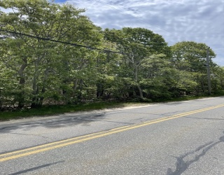 415 Cove Rd, Wellfleet, Massachusetts, ,Land,For Sale,Cove Rd,73528152