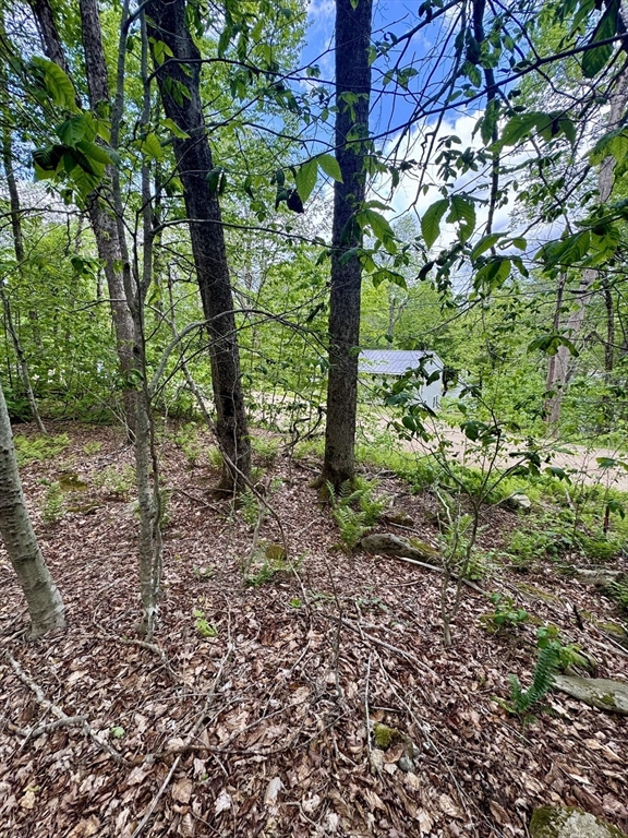 Lot 273 King Richard Dr, Becket, Massachusetts, ,Land,For Sale,King Richard Dr,73528392