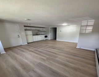 139A Commercial Street, Braintree, Massachusetts, 1 Bedroom Bedrooms, 3 Rooms Rooms,1 BathroomBathrooms,Residential Lease,For Rent,Commercial Street,73528582