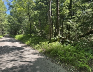 0 Old Stage Rd, Ashfield, Massachusetts, ,Land,For Sale,Old Stage Rd,73528367