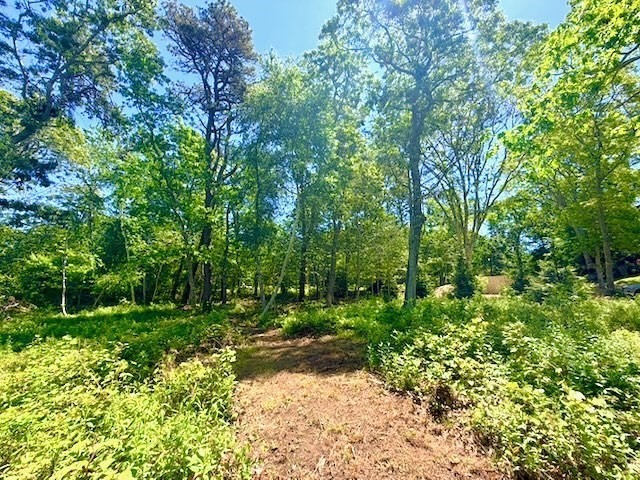 52 Heath Hen Ln., Tisbury, Massachusetts, ,Land,For Sale,Heath Hen Ln.,73529516