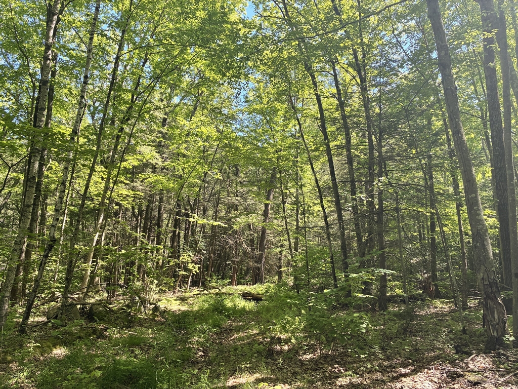 0 Summit St, Belchertown, Massachusetts, ,Land,For Sale,Summit St,73530278