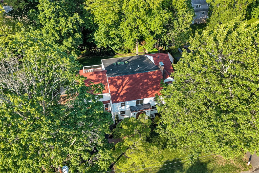 31 Alba Rd, Wellesley, Massachusetts, 5 Bedrooms Bedrooms, 13 Rooms Rooms,5 BathroomsBathrooms,Residential,For Sale,Alba Rd,73530659