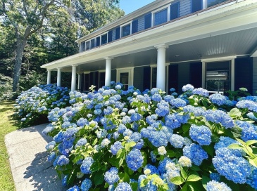 744 Old Barnstable Rd, Mashpee, Massachusetts, 3 Bedrooms Bedrooms, 6 Rooms Rooms,2 BathroomsBathrooms,Residential,For Sale,Old Barnstable Rd,73530732 744 Old Barnstable Rd, Mashpee, Massachusetts, 3 Bedrooms Bedrooms, 6 Rooms Rooms,2 BathroomsBathrooms,Residential,For Sale,Old Barnstable Rd,73530732